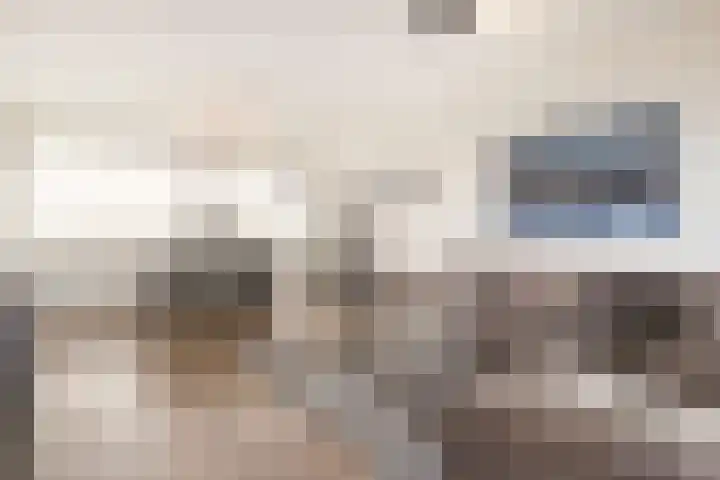 Voerakker 557 Ede thumbnail 12
