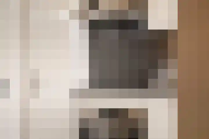 Voerakker 557 Ede thumbnail 15