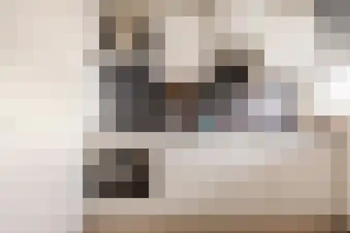 Voerakker 557 Ede thumbnail 16