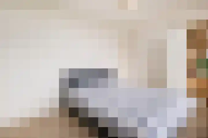 Voerakker 557 Ede thumbnail 19