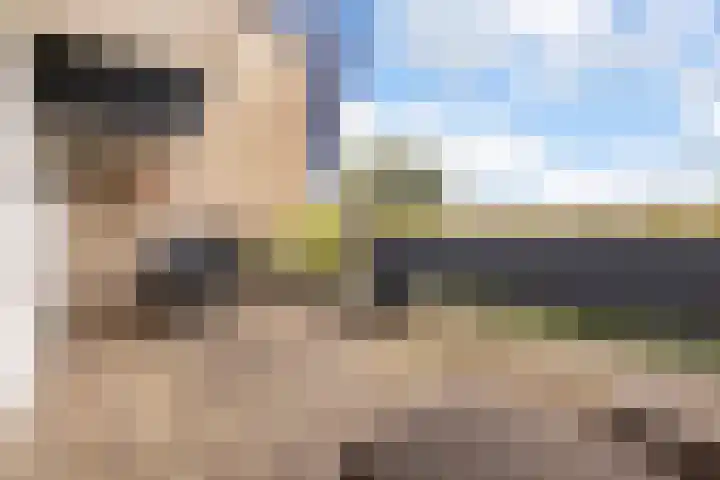 Voerakker 557 Ede thumbnail 22