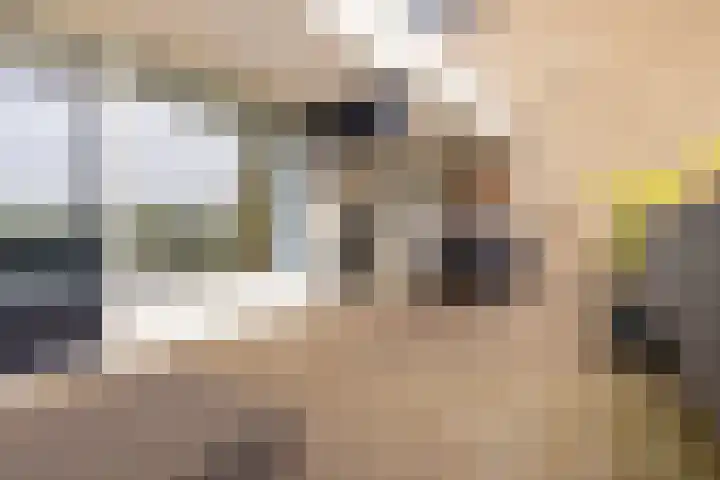 Voerakker 557 Ede thumbnail 23