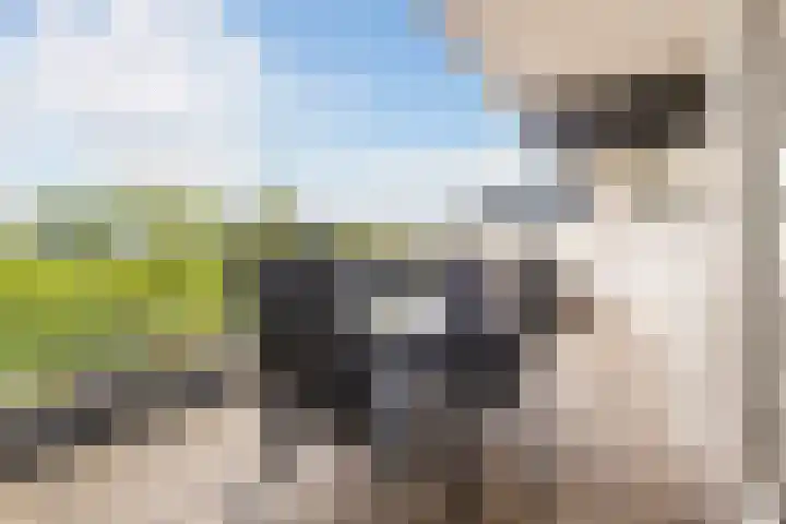 Voerakker 557 Ede thumbnail 24