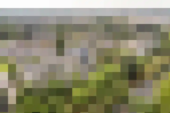 Voerakker 557 Ede thumbnail 25