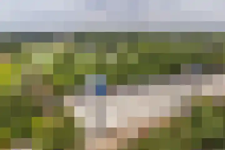 Voerakker 557 Ede thumbnail 26