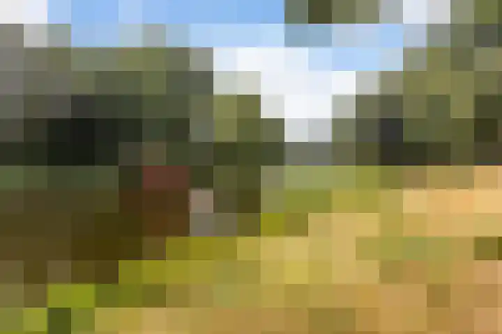 Voerakker 557 Ede thumbnail 27