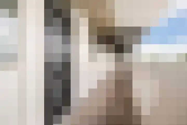 Voerakker 557 Ede thumbnail 6