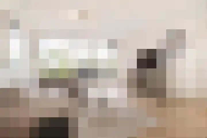 Voerakker 557 Ede thumbnail 9