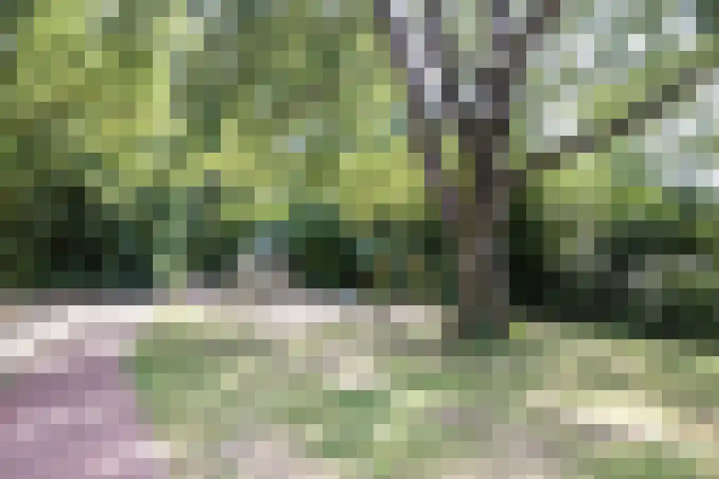 Voerendaalstraat 4 Arnhem thumbnail 30