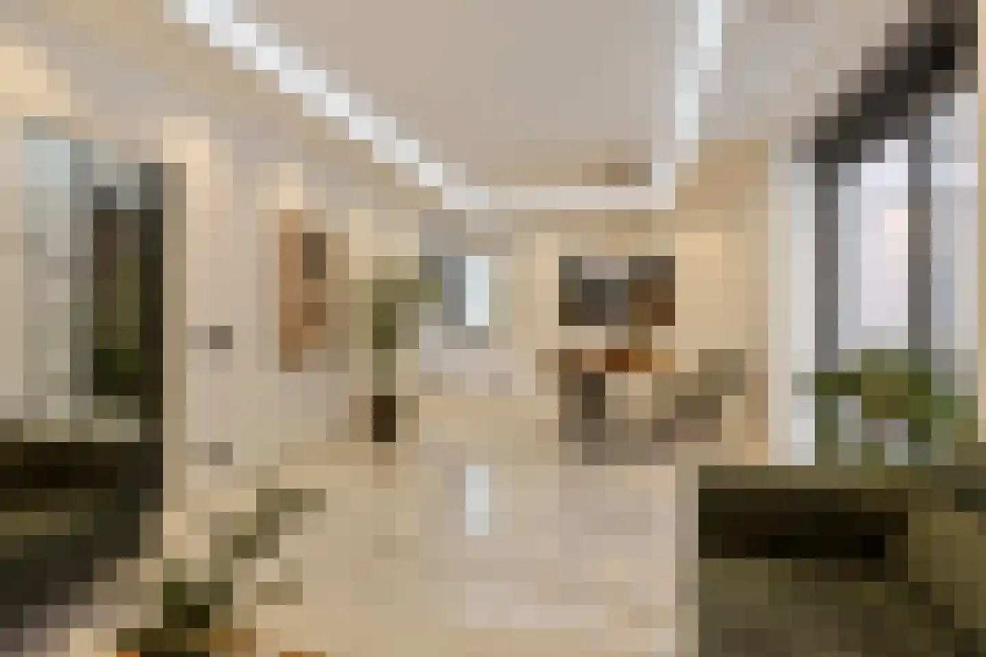 Voerendaalstraat 46 Tilburg thumbnail 15