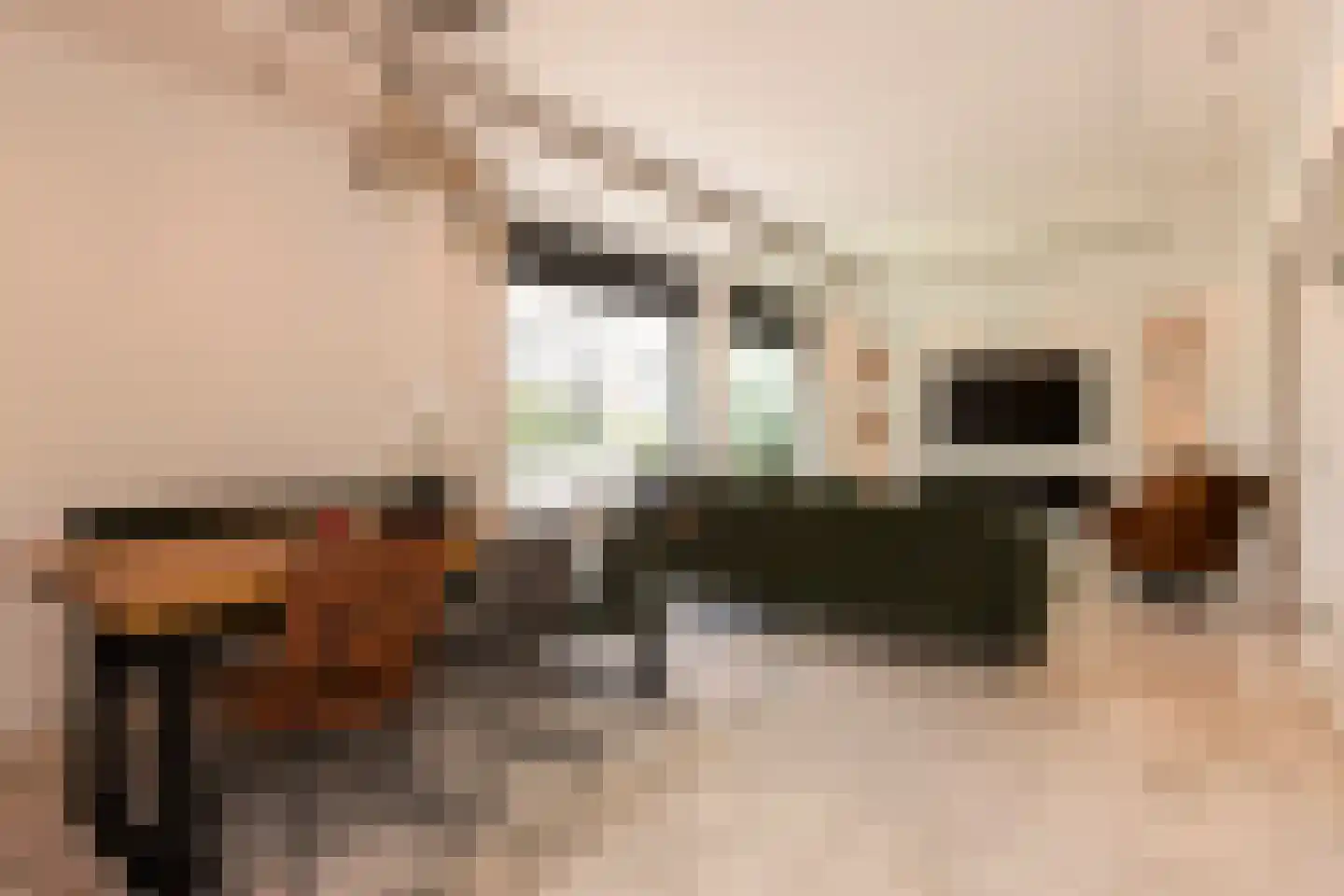 Voerendaalstraat 46 Tilburg thumbnail 17