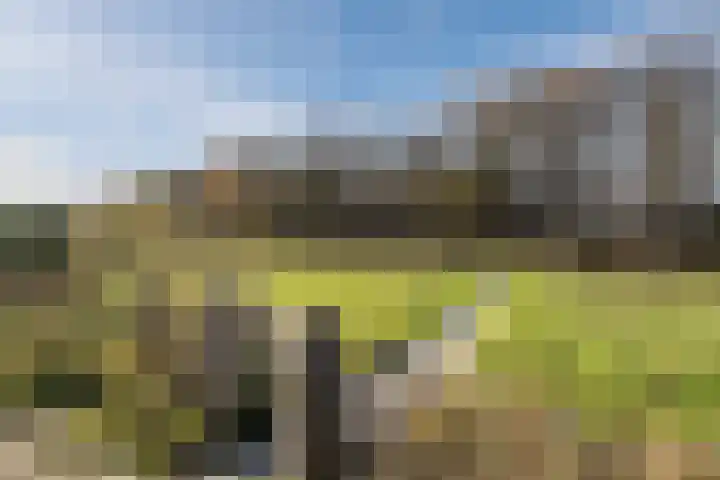 Voerendaalstraat 98 Tilburg thumbnail 62