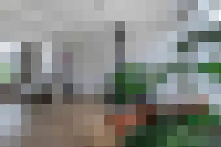 Voerenweg 2 Gronsveld thumbnail 13