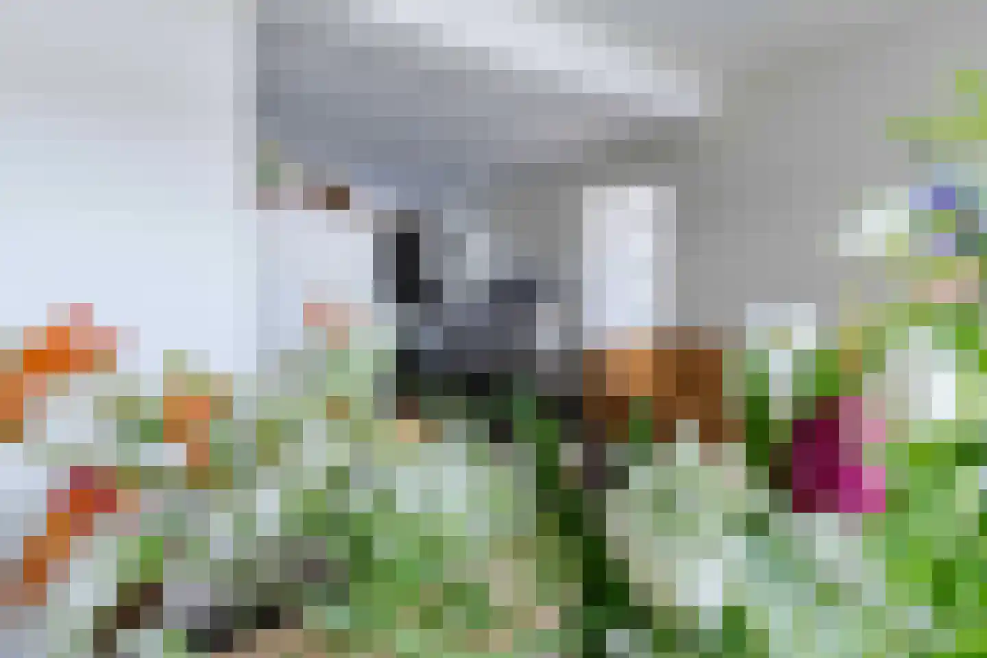 Voerenweg 2 Gronsveld thumbnail 21