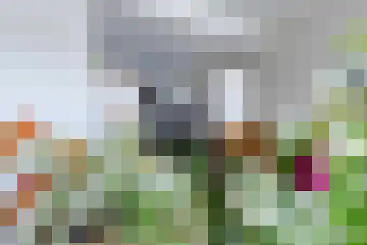 Voerenweg 2 Gronsveld thumbnail 21