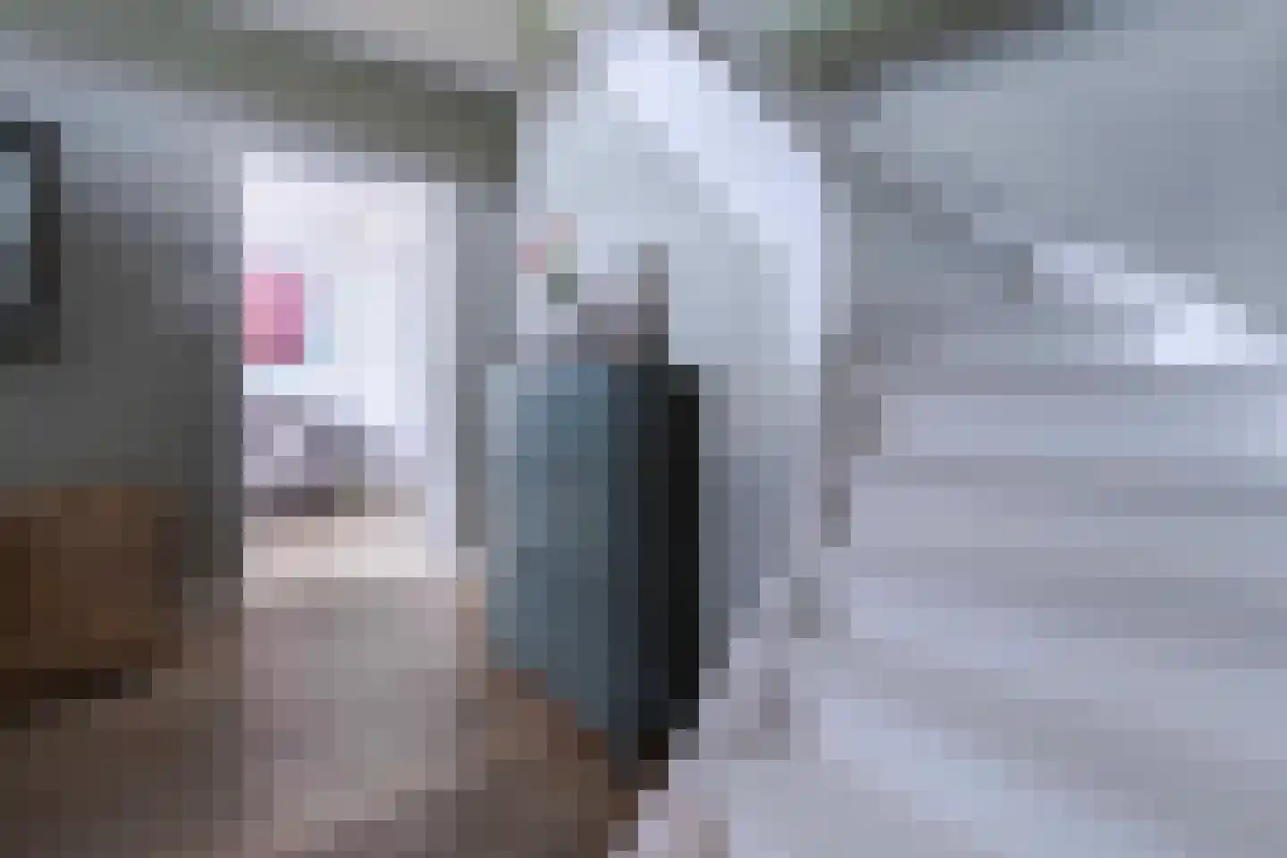 Voerenweg 2 Gronsveld thumbnail 25