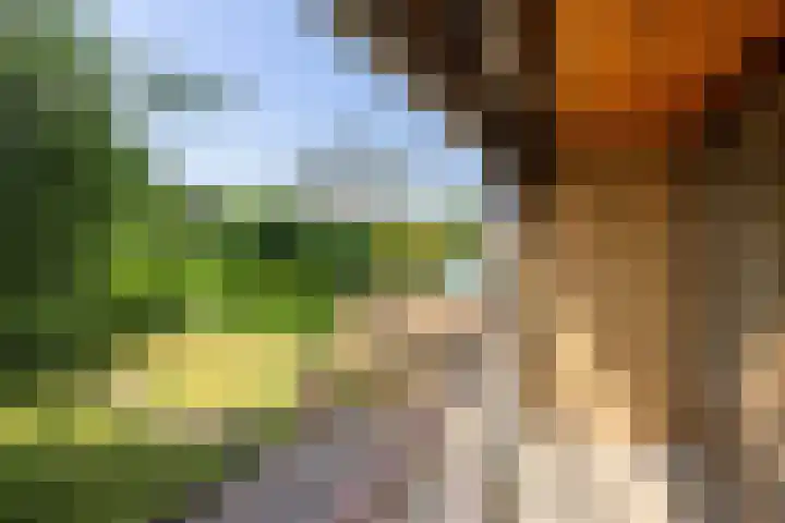 Voerenweg 30 Gronsveld thumbnail 17