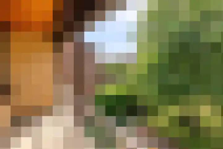 Voerenweg 30 Gronsveld thumbnail 18