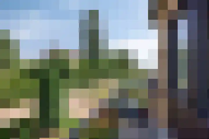 Voerenweg 30 Gronsveld thumbnail 22