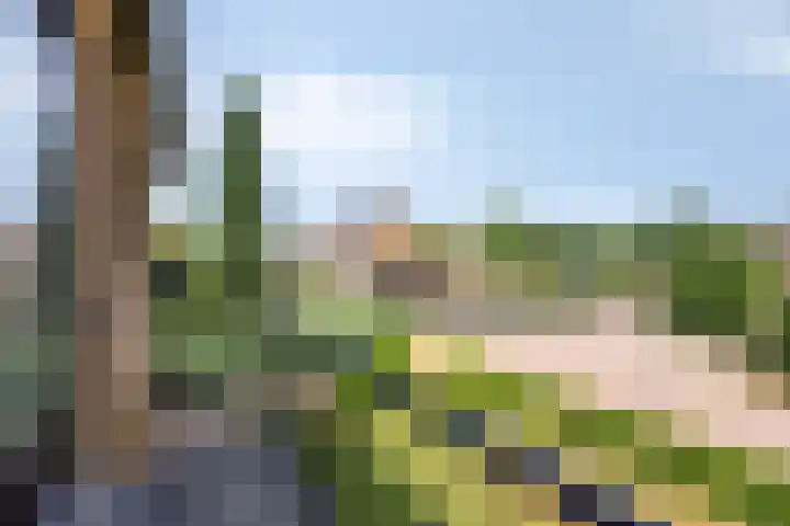 Voerenweg 30 Gronsveld thumbnail 23