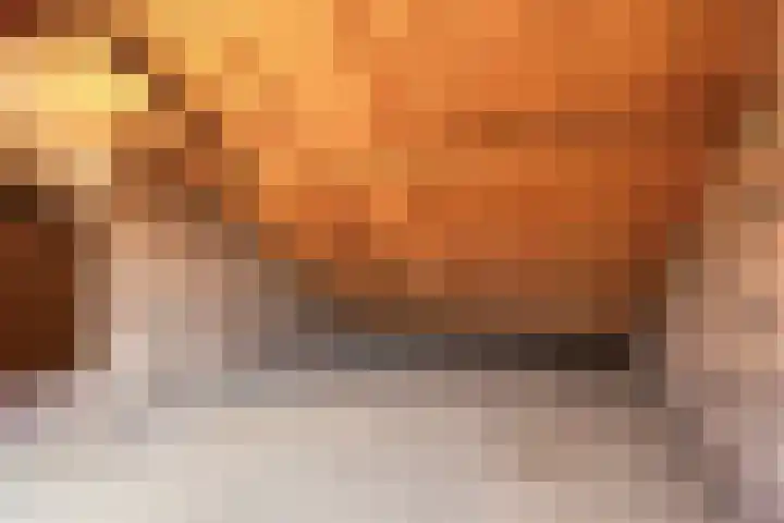 Voerenweg 30 Gronsveld thumbnail 32