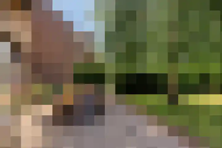Voerenweg 30 Gronsveld thumbnail 35