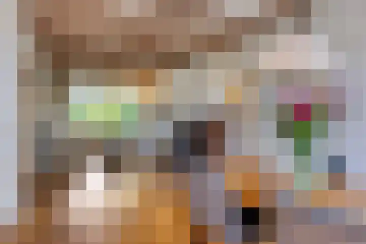 Voerenweg 30 Gronsveld thumbnail 6