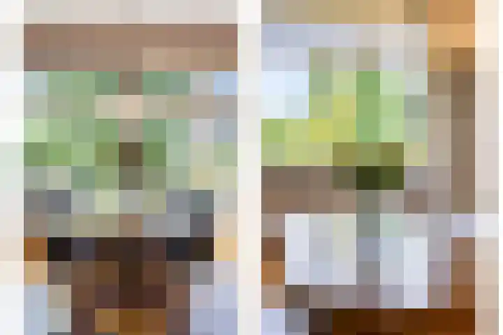 Voerenweg 30 Gronsveld thumbnail 8