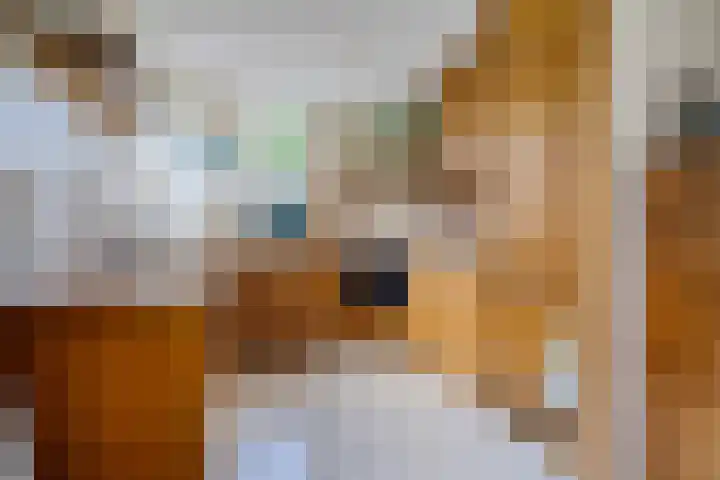 Voergang 121 Drachten thumbnail 13
