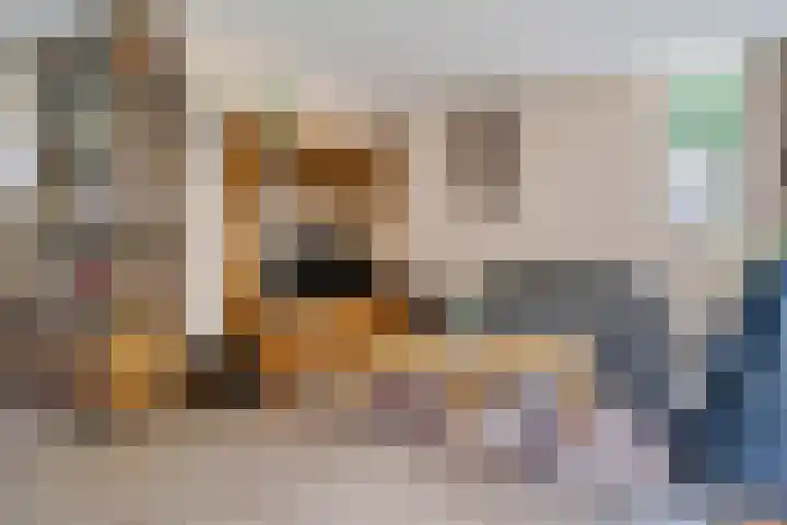 Voergang 121 Drachten thumbnail 19