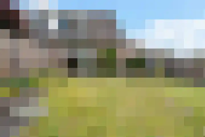 Voergang 121 Drachten thumbnail 34