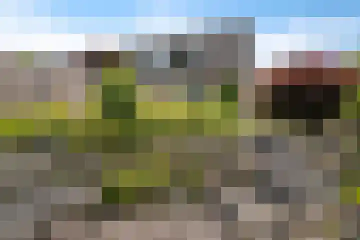 Voergang 121 Drachten thumbnail 38