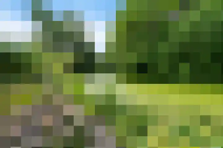 Voergang 121 Drachten thumbnail 39