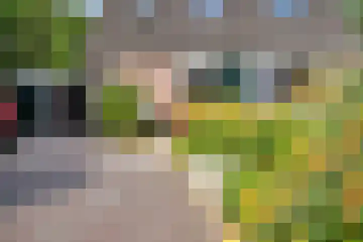 Voergang 121 Drachten thumbnail 4
