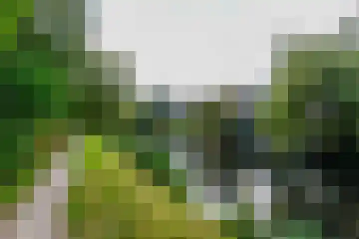 Voergang 51 Drachten thumbnail 36