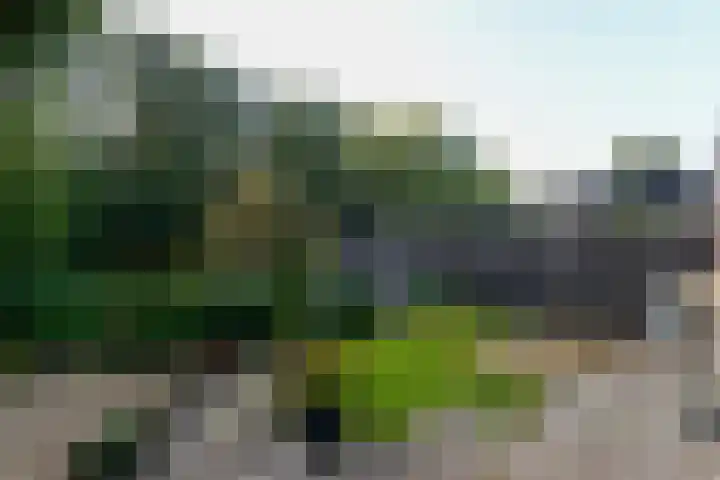 Voergang 51 Drachten thumbnail 39