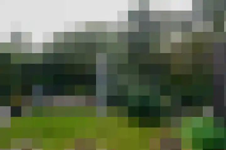 Voergang 51 Drachten thumbnail 43