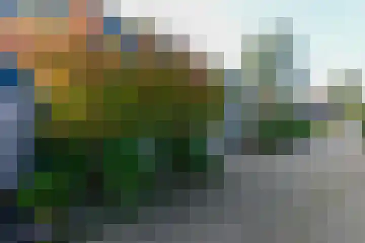 Voergang 51 Drachten thumbnail 48
