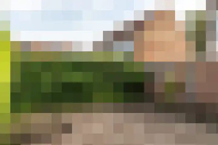 Voergang 69 Drachten thumbnail 11