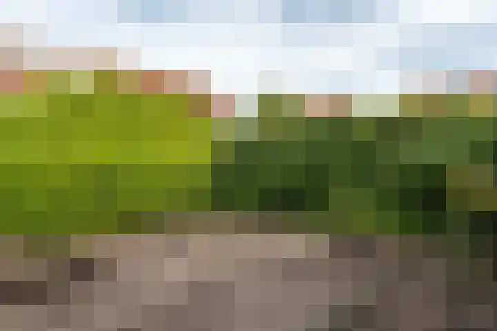 Voergang 69 Drachten thumbnail 12