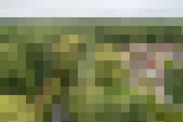 Voergang 69 Drachten thumbnail 14
