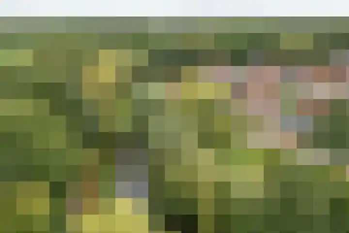 Voergang 69 Drachten thumbnail 15