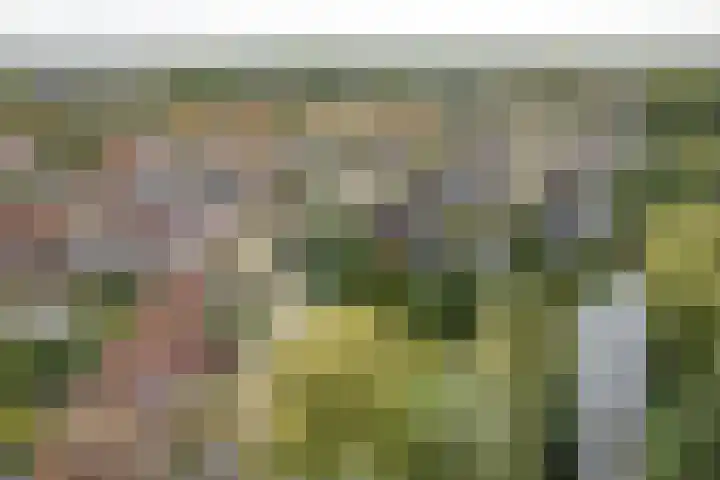 Voergang 69 Drachten thumbnail 16