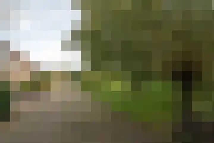 Voergang 69 Drachten thumbnail 7