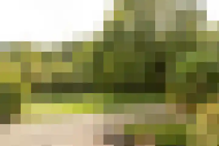 Voergang 69 Drachten thumbnail 8