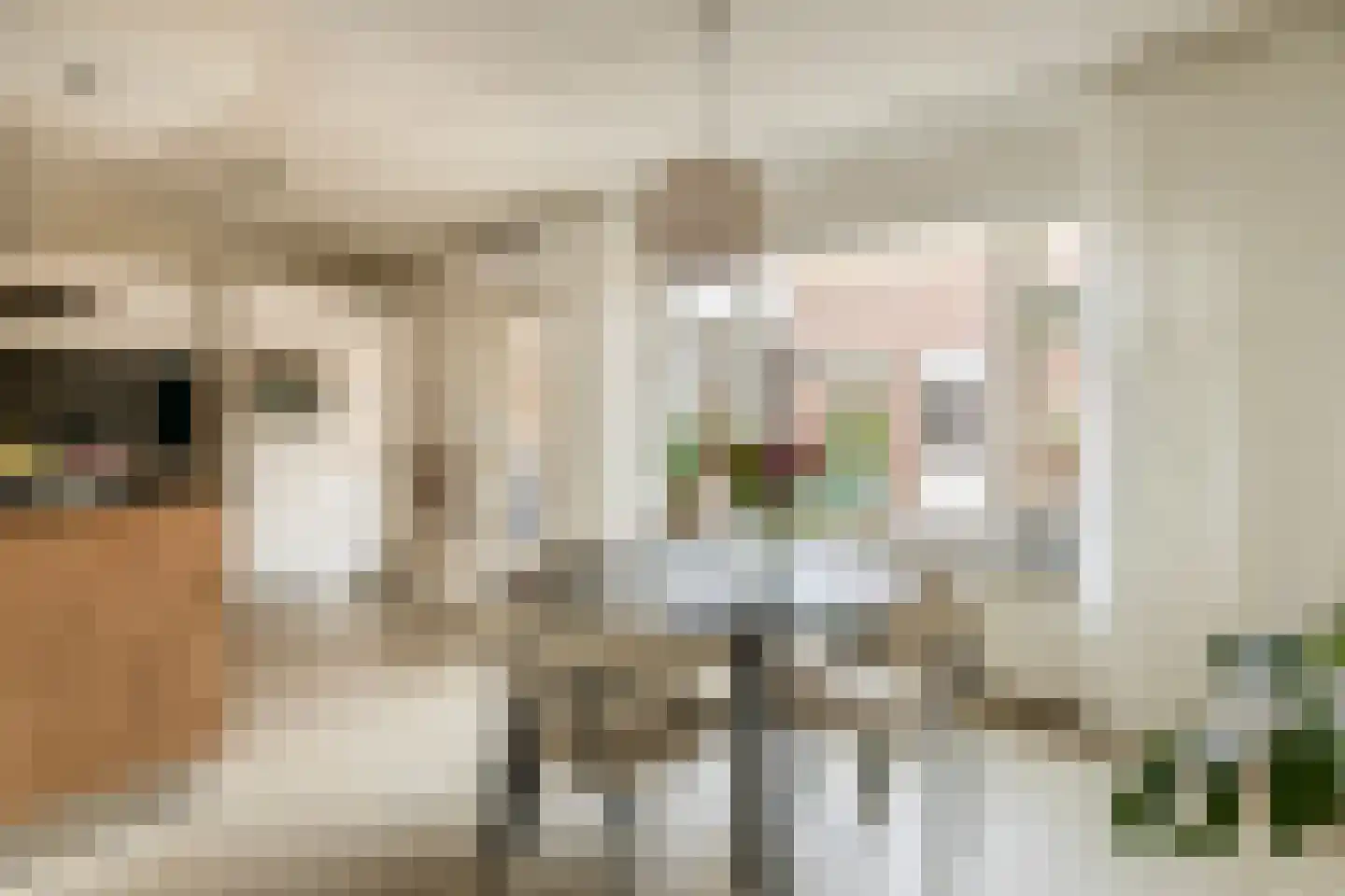 Voergang 85 Drachten thumbnail 12
