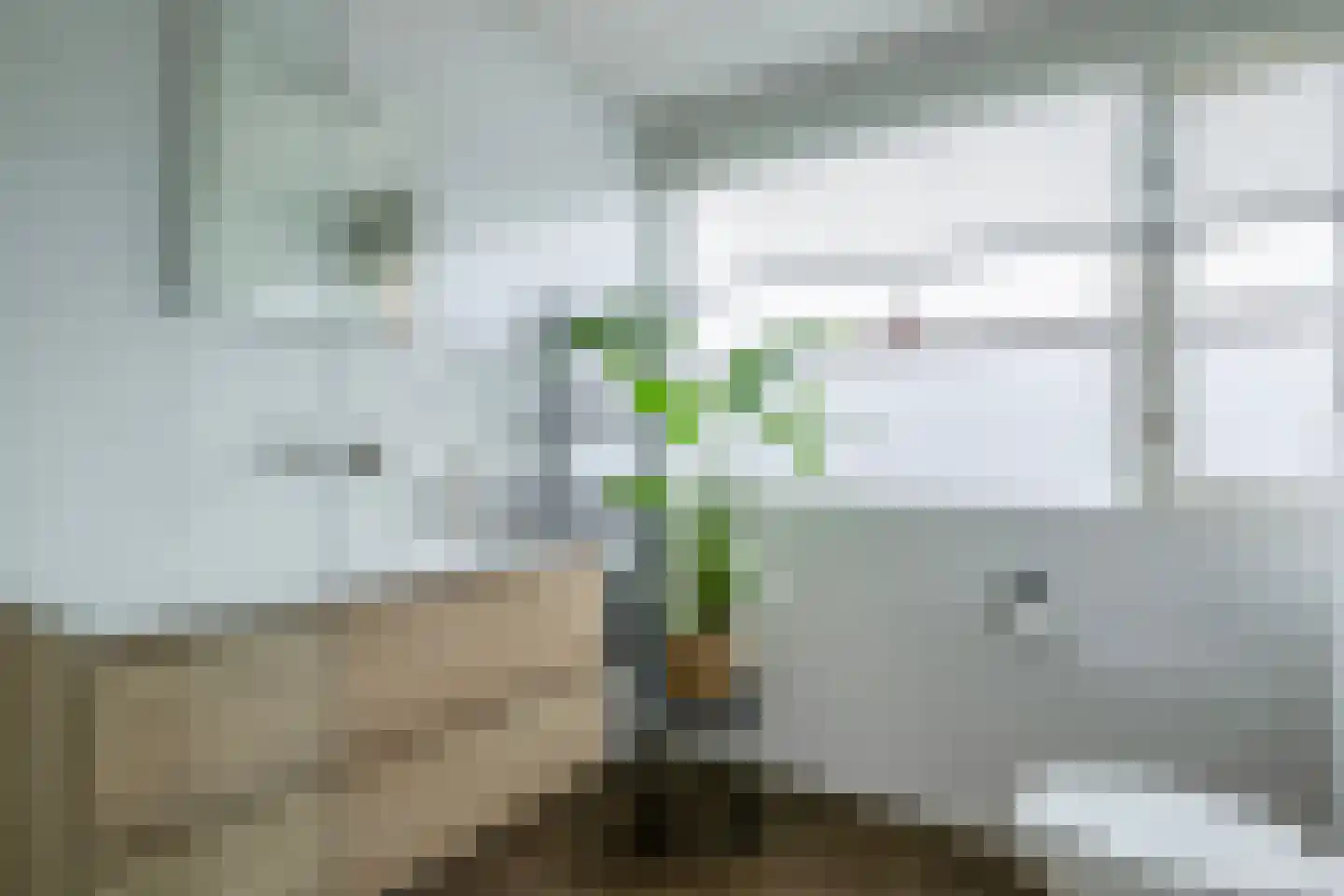 Voergang 85 Drachten thumbnail 33