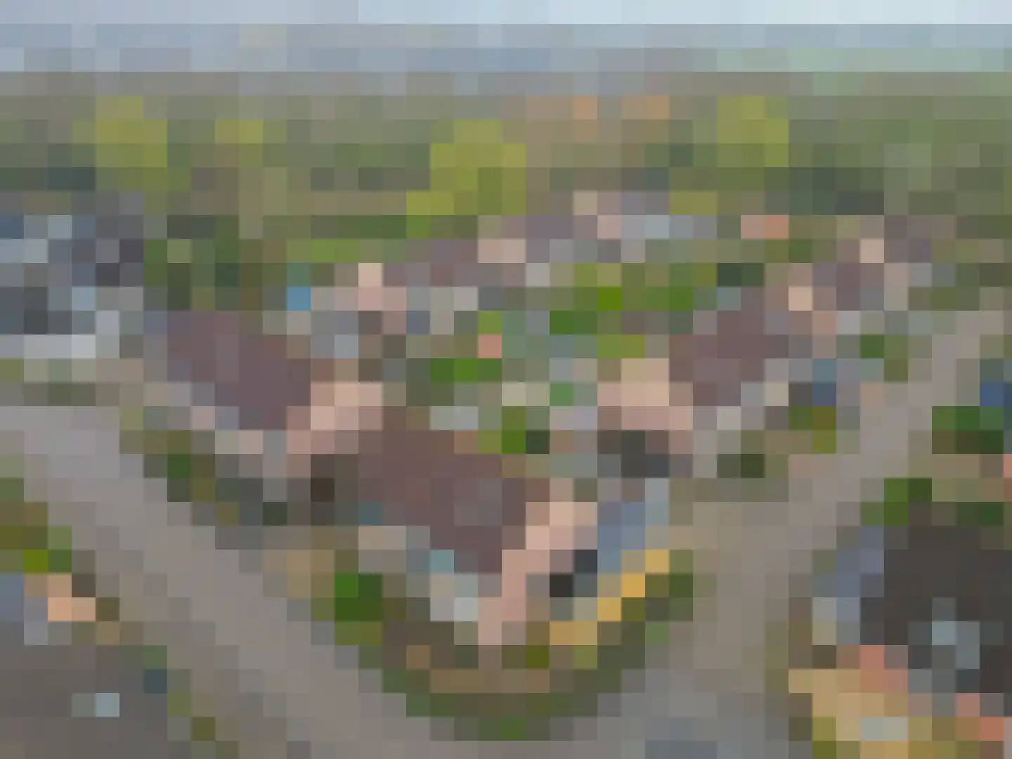 Voergang 85 Drachten thumbnail 48