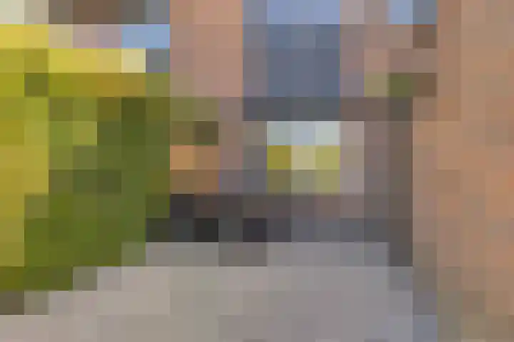 Voergang 90 Drachten thumbnail 23