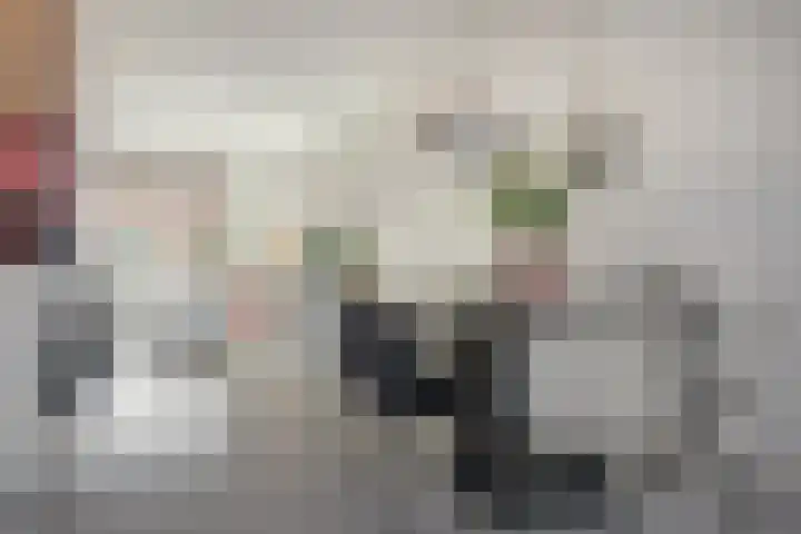 Voergang 96 Drachten thumbnail 17
